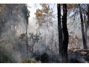 Antalya'da orman yangını