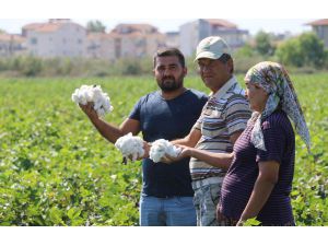 ANTBİRLİK pamuk alımına başladı