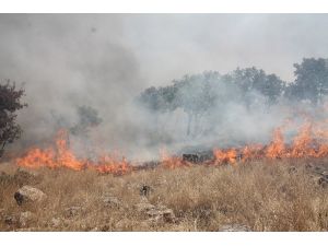 Midyat’ta ormanlık alanda çıkan yangın sürüyor