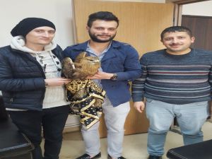 Yolda Bulunan Yaralı Şahin Tedavi Altına Alındı