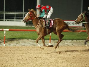 Osmaniye Belediye Başkanlığı Koşusunu "Victory Promise" Kazandı