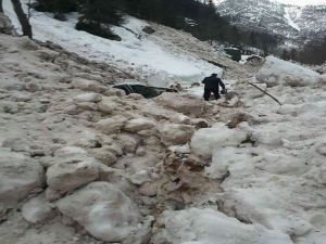 Artvin’de Çığ