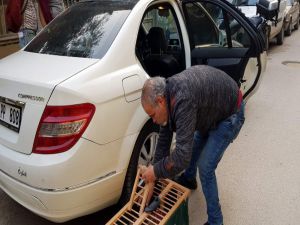 Lüks Otomobilde Ölüme Terk Edildiler