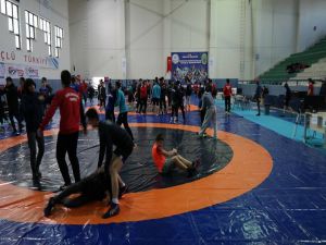 Güreş Müsabakaları Başlıyor