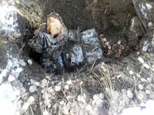 Bitlis’te Terör Operasyonu