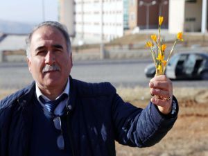 Yozgat’ta Baharın Müjdecisi Çiğdem Çiçekleri Açtı
