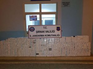 Şırnak’ta 4 Bin 250 Paket Kaçak Sigara Ele Geçirildi