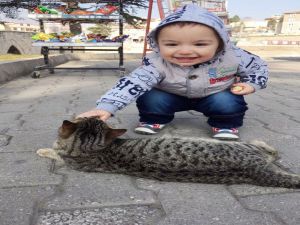 Kediyle Simidini Paylaşan Çocuğun Sevimli Halleri Kameraya Yansıdı