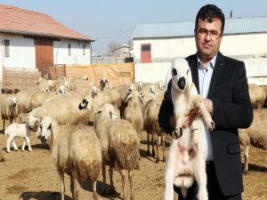 Aksaray’da Üreticiler ‘Kendi İşinin Patronu Ol’ Projesine Hazırlanıyor