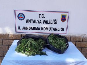 Antalya’da 10 kilogram esrar ele geçirildi