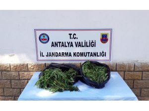10.8 kilo esrar ele geçirildi