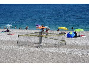 Caretta yuvalarına 'polis' şeritli koruma