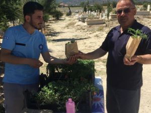 Büyükşehir Mezarlıklarda Fidan Dağıttı