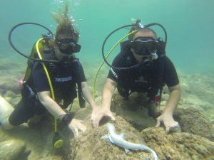 Sualtı tutkunlarının gözdesi Kekova