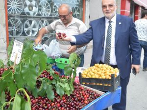 Ahmet Yelis: "Tarım arazilerinin boşta kalması bize haramdır"