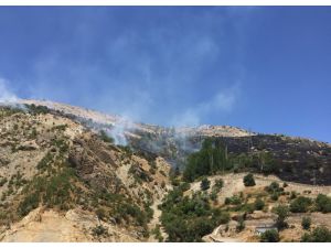 Adıyaman Malatya arasında orman yangını