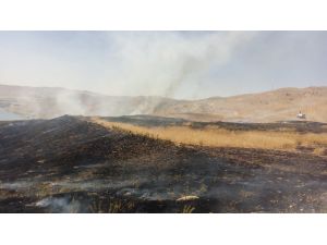 Alevler 65 dönümlük buğday tarlasını kül etti