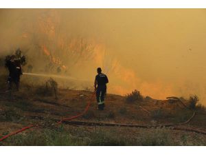 Antalya Aksu'da orman yangını (3)