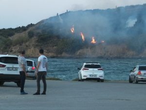 Bandırma’da arazi yangını