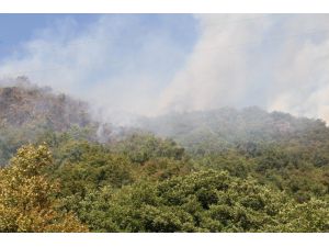 Kastamonu’da çıkan orman yangını helikopter ile söndürüldü