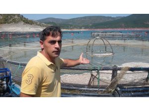 Almus baraj gölünde su seviyesinin düşmesi balıkçıları endişelendiriyor