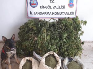 Bingöl’de 158 kilo uyuşturucu ele geçirildi