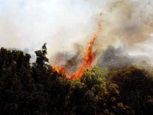 Antalya’daki çalılık yangını: 5 ev boşaltıldı