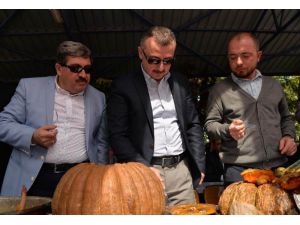 “Geleneksel 5. Kestane Kabağı’’ Festivali