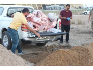Antalya’da Otomobilde 350 Kilo Et Ele Geçirildi