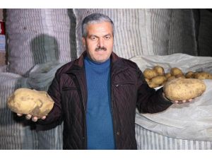 Nevşehir Patatesi Diyarbakır Karpuzu İle Yarışıyor