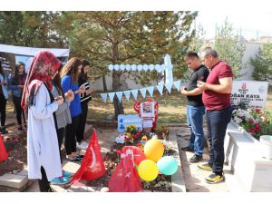 Şehit Bedirhan Bebeğin Mezarına Ziyaretçi Akını