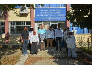 Dağ Yöresindeki Arıcılar Üniversitede Ders Gördü