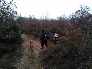Çan’da Mantar Toplarken Kaybolan Yaşlı Kadın Bulundu