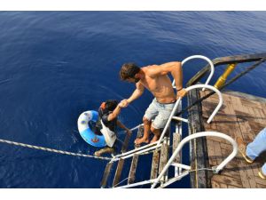 Turistler Gördükleri Manzara Karşısında Şok Oldu