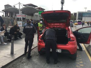 İstanbul’da Kurt Kapanı Uygulamasının 26’ncısı Gerçekleştirildi