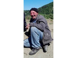 Zeytin Ağacından Düşen Çiftçi Öldü