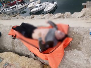 Silivri’de Erkek Cesedi Bulundu