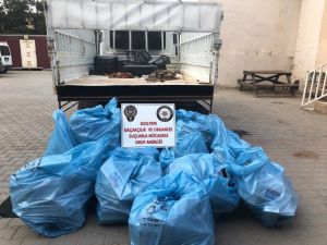 Mardin’de 10 Bin 860 Paket Kaçak Sigara Ele Geçirildi