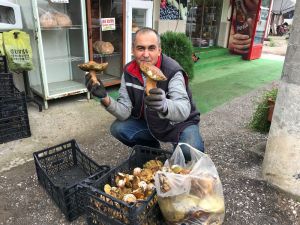 Ayı Mantarı Köylünün Gelir Kapısı Oldu