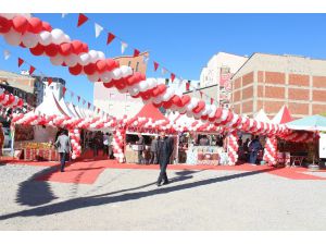 Usta Eller Pirinç Tanelerinde Hayat Buluyor