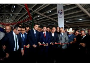Güney Marmara’nın En Büyük Canlı Hayvan Pazarı Açıldı