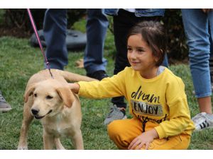 Barınaktaki Yavru Köpekler Yeni Yuvalarına Kavuştu