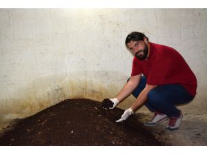 Söke’de Genç Girişimci Evinin Bodrumunda Solucan Gübresi Üretiyor