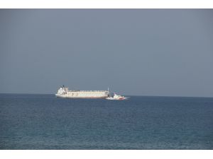 İzmir’den Gelen Angus Yüklü Gemi Körfez Açıklarında Bekletiliyor