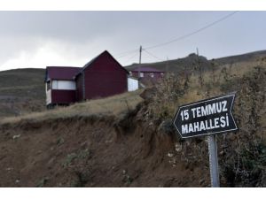 Uyanıklığın Böylesi
