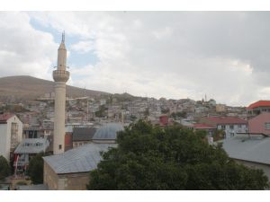 Cami Bahçesindeki Asırlık Ceviz Ağacı