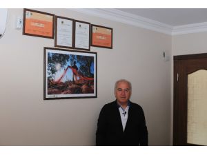 Totoş: “Zeytinyağı Sahteciliğine Aldanmayın”