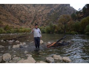 Ormanlara Zarar Vermemek İçin Çay Kenarında Odun Topluyorlar