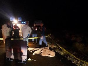 Yol Kenarında Ölü Olarak Bulundu