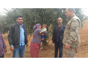 Zeytinlikte Kaybolan Minik Mustafa Kayalıkta Ağlarken Bulundu